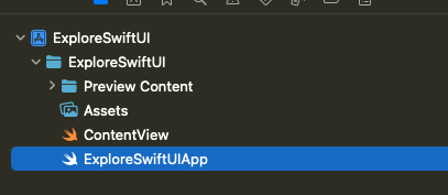 Initial Project file structure